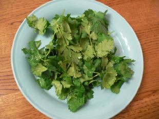 Cilantro Leaves